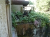 220-august-09